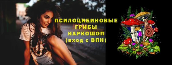 гашик Каменск-Шахтинский