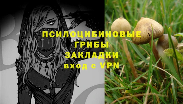 кокс Каменка