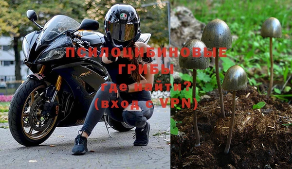 кокс Каменка