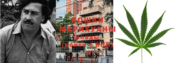 трава Каменногорск