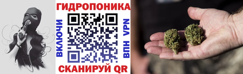 Бошки Шишки SATIVA & INDICA  Купить где  Порхов 